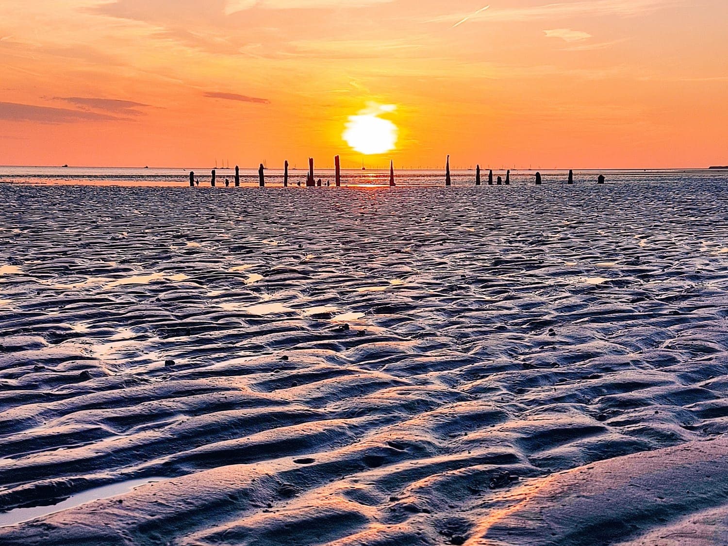 Sunsets