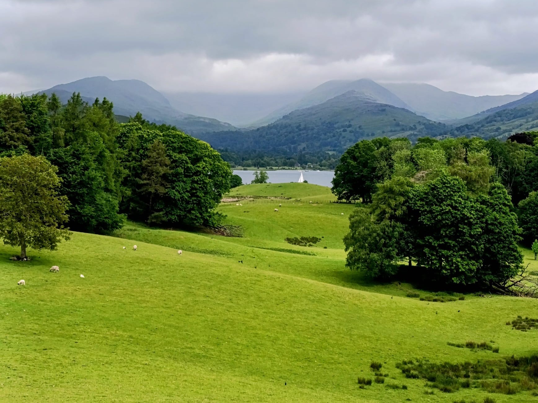 Landscapes